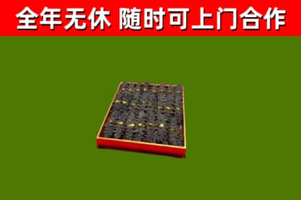 海伦回收海参
